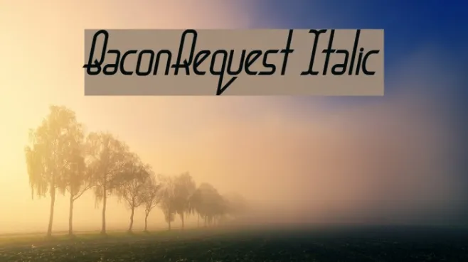 BaconRequest Italic Example 3