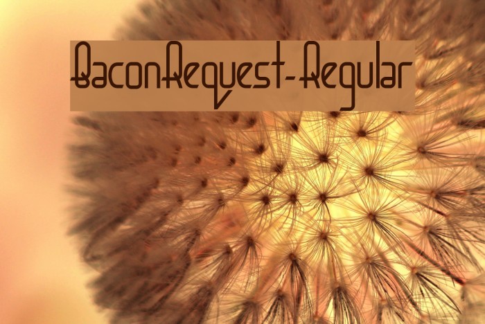 BaconRequest-Regular Font examples
