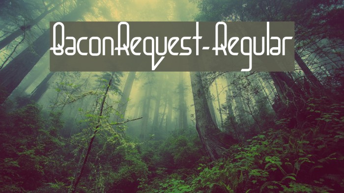 BaconRequest-Regular Font examples