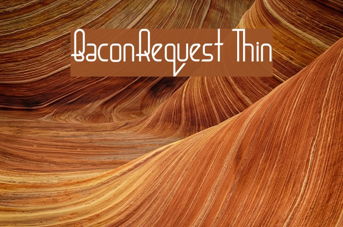 BaconRequest Thin Example 1