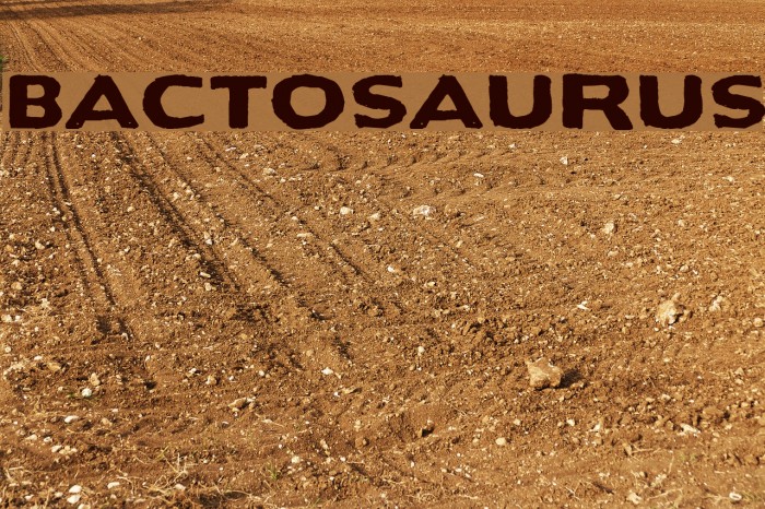 Bactosaurus Font examples