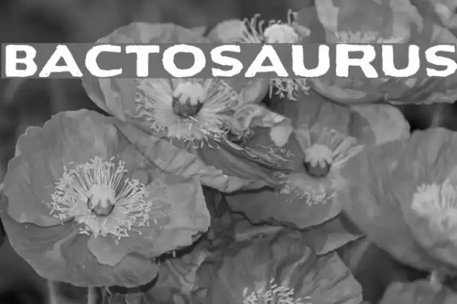 Bactosaurus Font examples