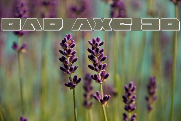 Bad Axe 3D Font examples