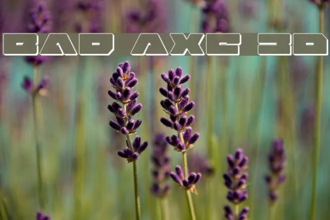 Bad Axe 3D Example 2