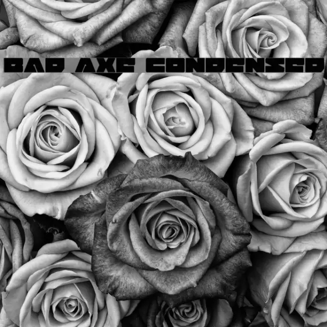 Bad Axe Condensed Font examples