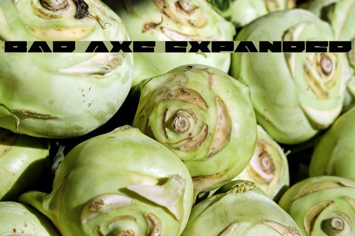 Bad Axe Expanded Font examples