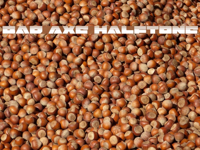 Bad Axe Halftone Font examples