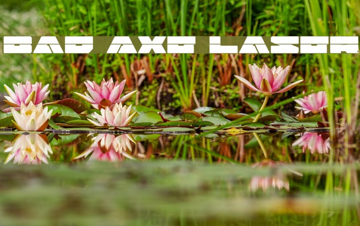 Bad Axe Laser Example 1