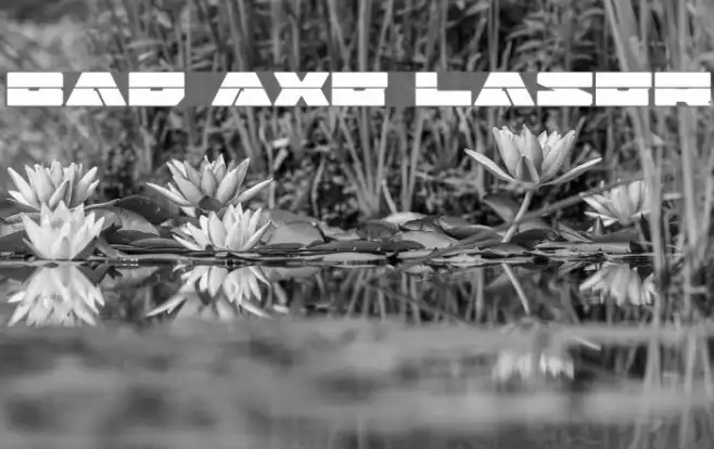 Bad Axe Laser Example 1
