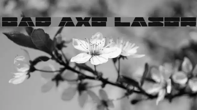 Bad Axe Laser Example 2
