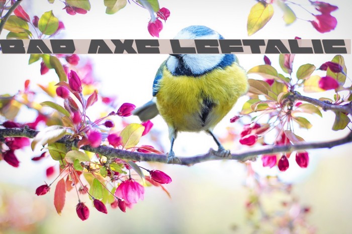 Bad Axe Leftalic Font examples