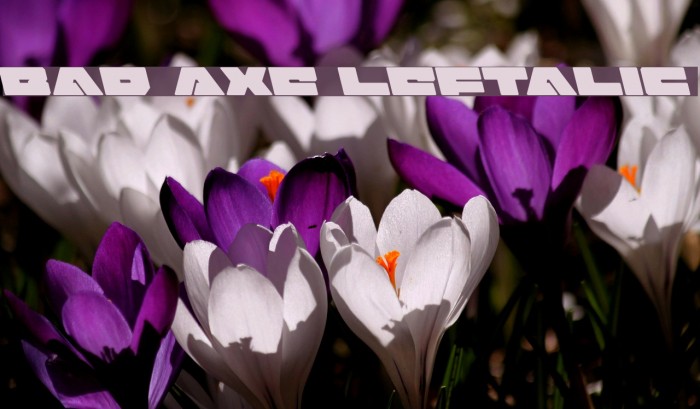 Bad Axe Leftalic Font examples