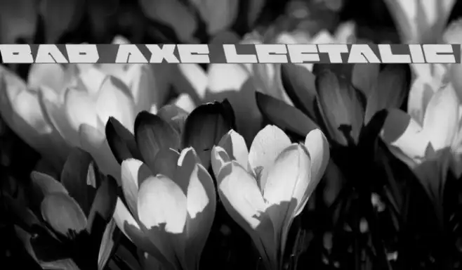 Bad Axe Leftalic Example 2