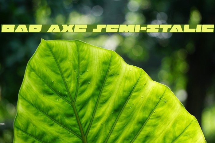 Bad Axe Semi-Italic Example 2
