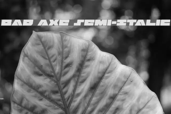 Bad Axe Semi-Italic Font examples