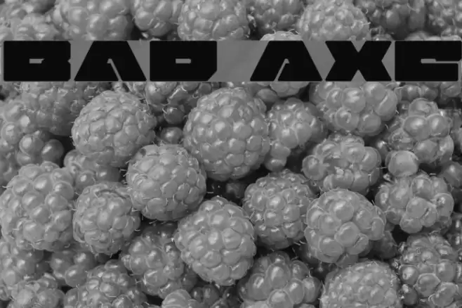 Bad Axe Font examples
