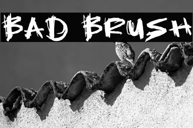 Bad Brush Example 3