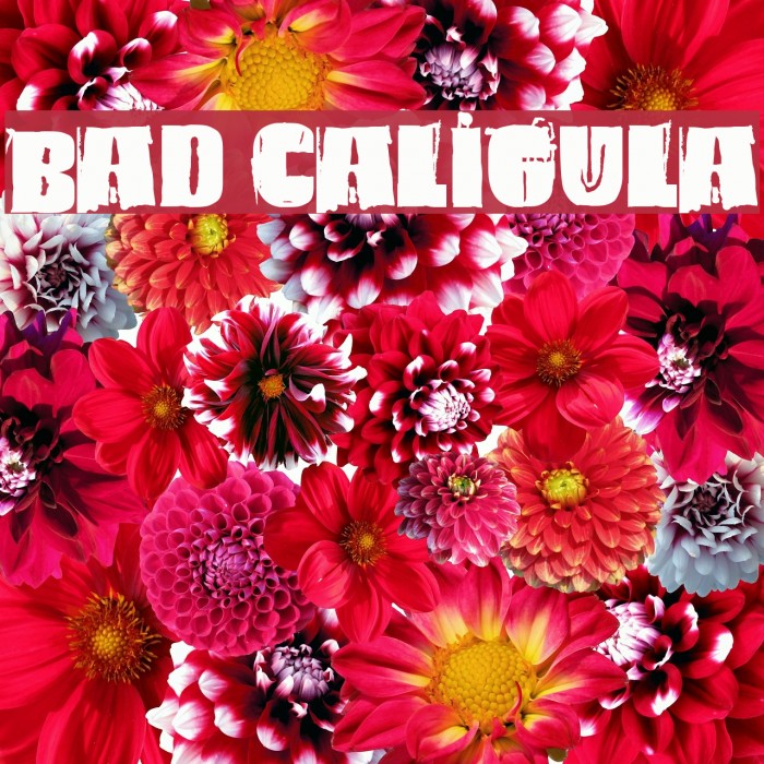 Bad Caligula Font examples