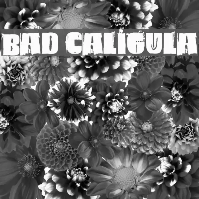 Bad Caligula Example 1