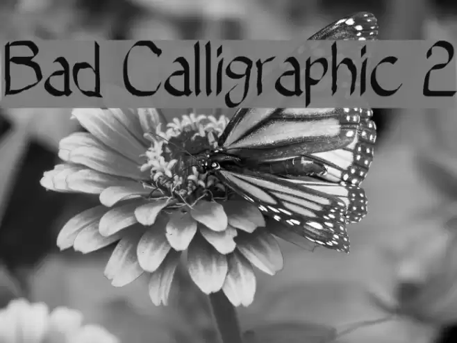 Bad Calligraphic 2 Font examples