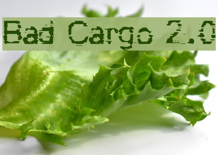 Bad Cargo 2.0 Caratteri examples