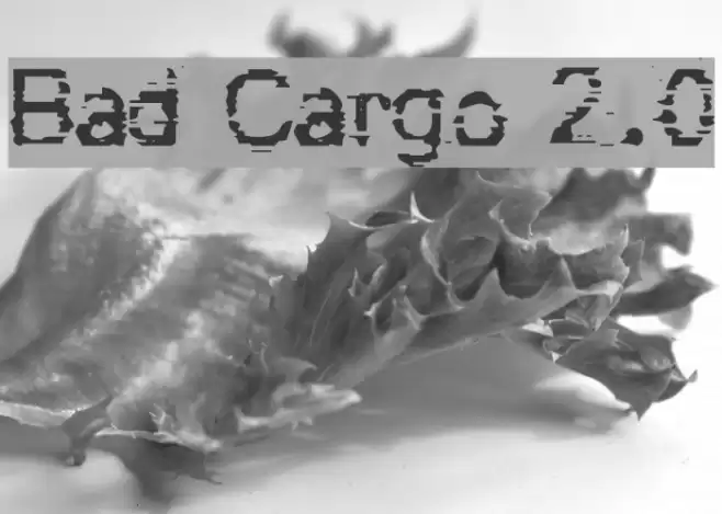Bad Cargo 2.0 Caratteri examples