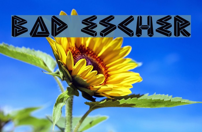 Bad Escher Example 1