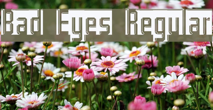 Bad Eyes Regular Example 1