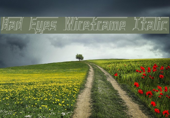 Bad Eyes Wireframe Italic Font examples