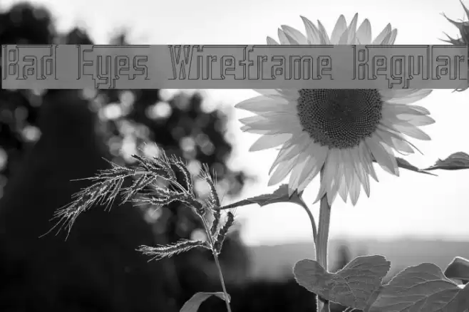Bad Eyes Wireframe Regular Font examples