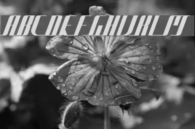 Bad Films Font examples