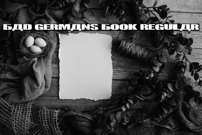 Bad Germans Book Regular Example 1