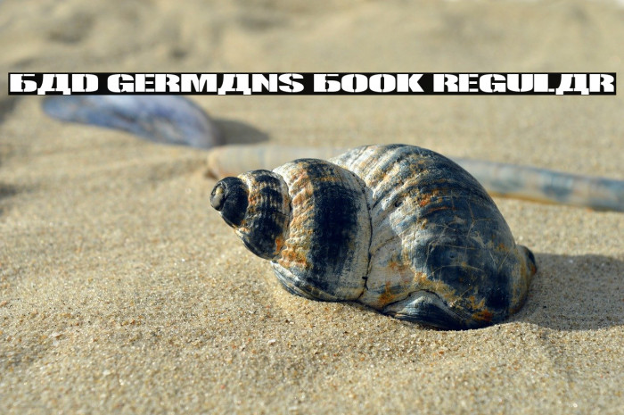 Bad Germans Book Regular Example 2