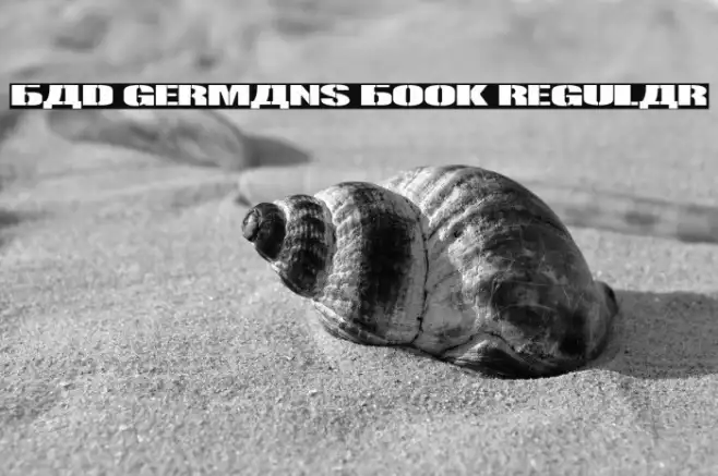 Bad Germans Book Regular Example 2