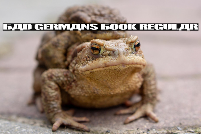 Bad Germans Book Regular Example 3