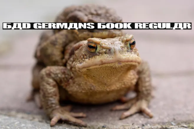 Bad Germans Book Regular Example 3