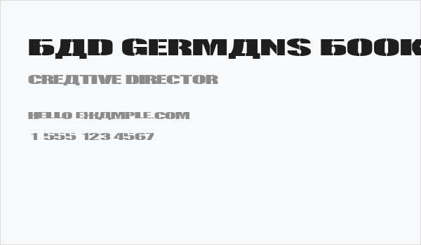 Bad Germans Book Regular Business Card
