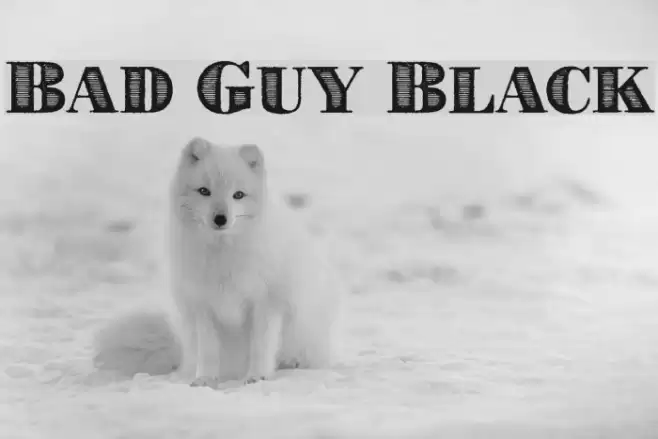 Bad Guy Black Font examples