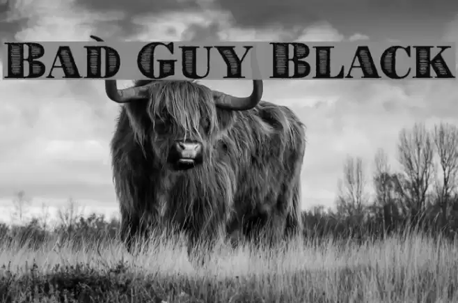 Bad Guy Black Font examples