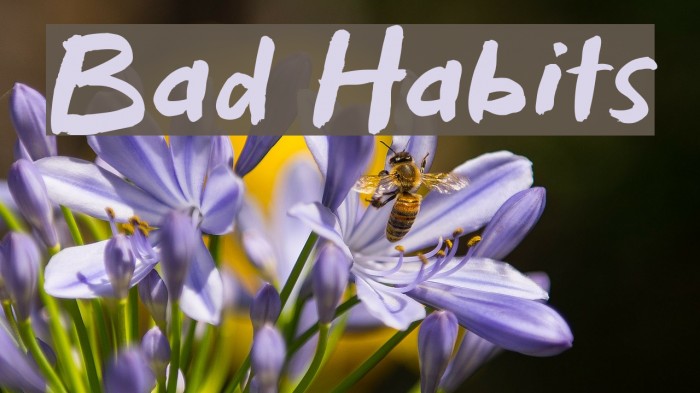 Bad Habits Font examples
