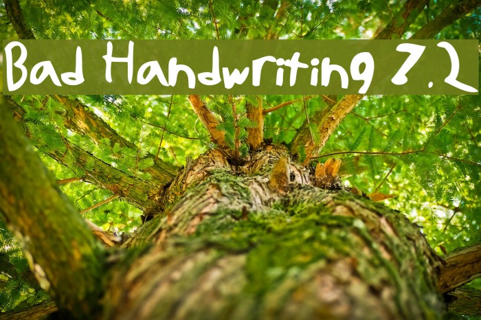 Bad Handwriting 7.2 Example 3