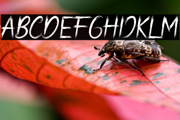 Bad Hunter Brush Example 1