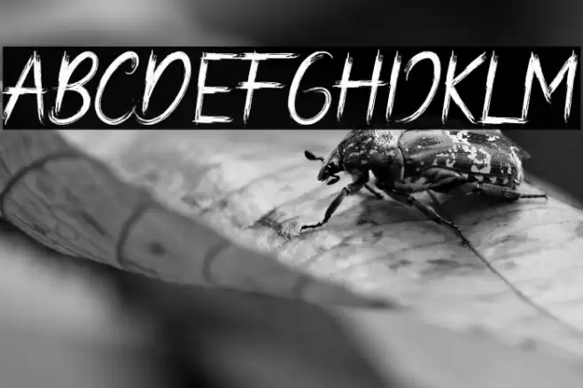 Bad Hunter Brush Font examples