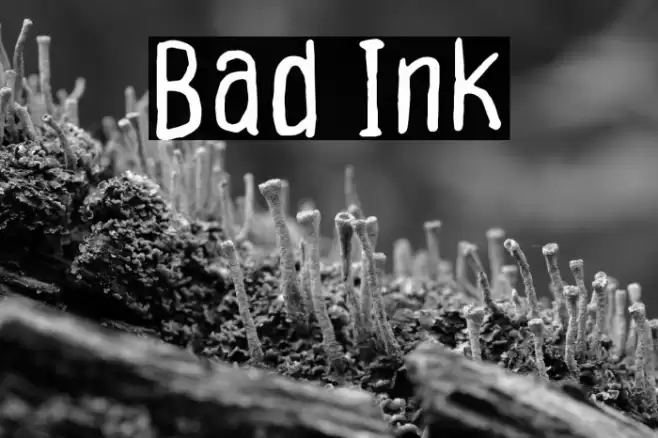 Bad Ink Font examples
