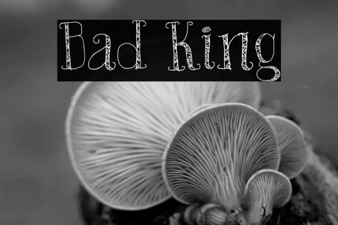 Bad King Example 2