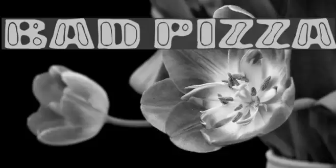 Bad Pizza Font examples