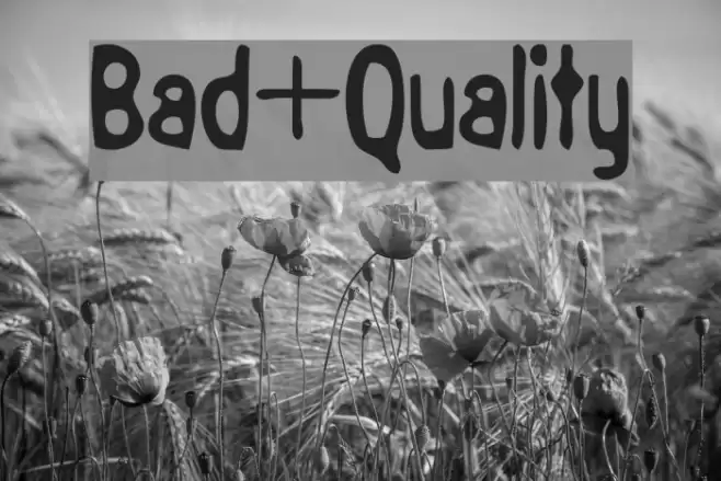 Bad+Quality Polices examples