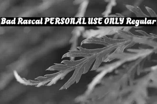 Bad Rascal PERSONAL USE ONLY Regular Font examples