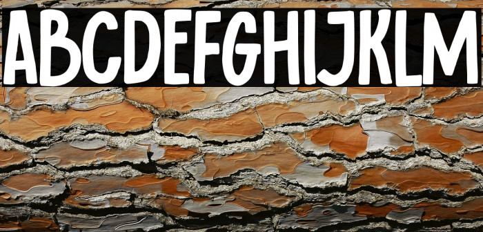 Bad Reason Example 2