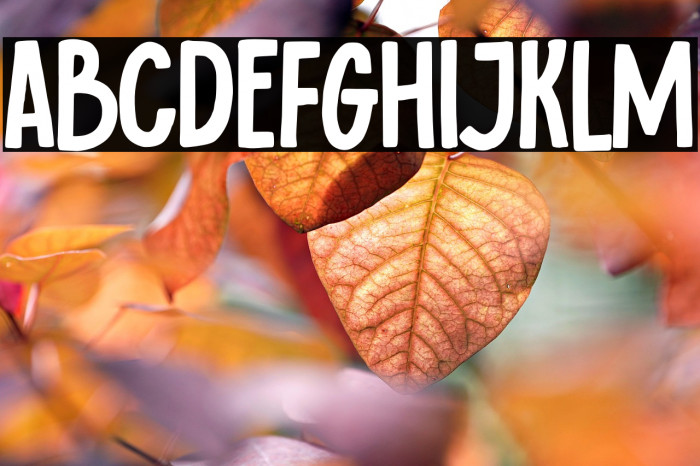 Bad Reason Example 3